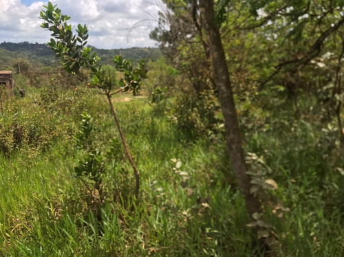 Imagem 7 de 30 de Chácaras Castelo Branco Km 68 Condomínio Vale Da Esperança Mairinque S-p