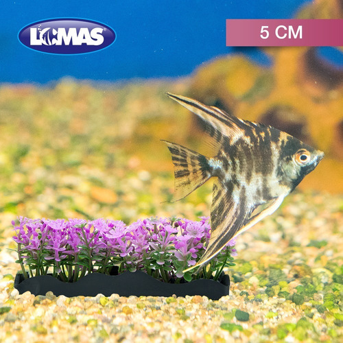 Imagen 3 de 3 de 6 Jardineras Barra Plantas Artificiales 5 Cm Acuarios Pecera