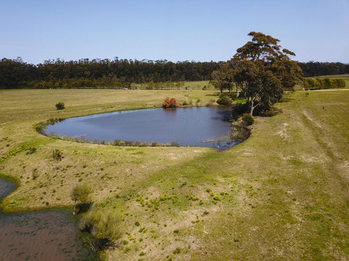 Imagen 10 de 30 de Terreno Lote En Venta Ubicado En Playa Brava, Punta Del Este, Punta Del Este / Maldonado