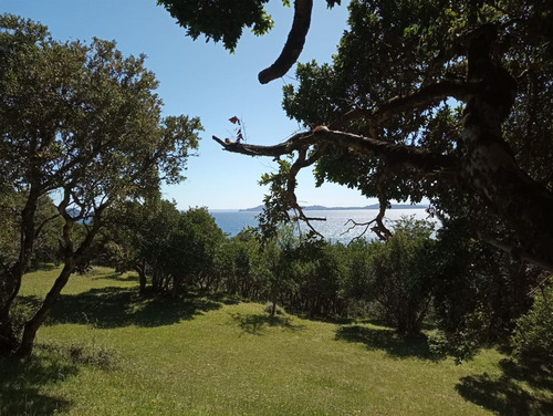 Parcela En Venta En Futrono - Llifen - 1.05 Hectáreas C/rio