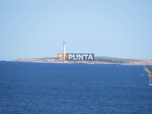 Imagen 5 de 15 de Apartamento En Playa Brava