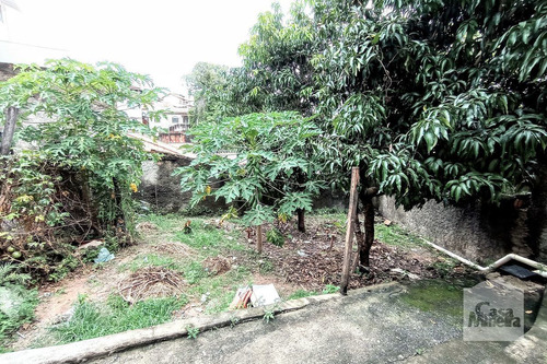 Imagem 13 de 13 de Casa À Venda No São João Batista - Código 276710 - 276710