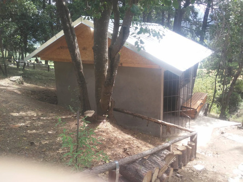 Imagen 9 de 17 de Chacra Con Casa - Oportunidad- En El Bolsón
