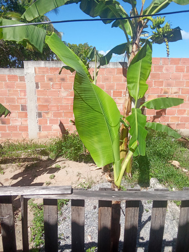 Casa Com Quarto(suite), Sala, Cozinha E Banheiro
