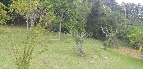 Imagem 13 de 16 de Chácara À Venda Em Joaquim Egídio - Ch007831