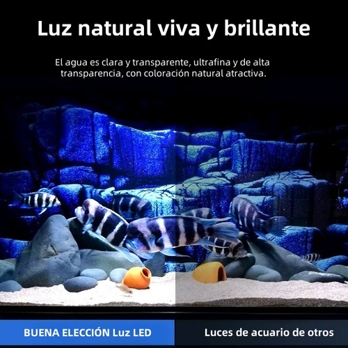 Luz para Pecera USB 20-40cm, Lámpara Para Acuario de Luz Blanca de Espectro Completo, Soporte Ajustable, para Acuarios Pequeños, Alta Luminosidad Natural