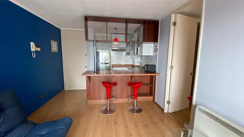 Departamento En Arriendo De 1 Dorm. En Recoleta