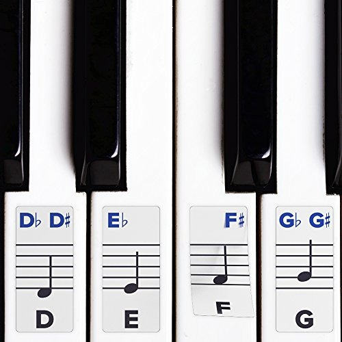 Piano Stickers For Keys  Removable W/ Double Layer Coating