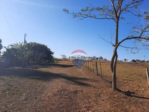Imagem 9 de 18 de Fazenda Á Venda - Alto Boa Vista - Fa0005