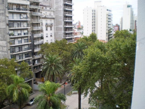 Imagen 13 de 16 de Bv Oroño 581 08 01