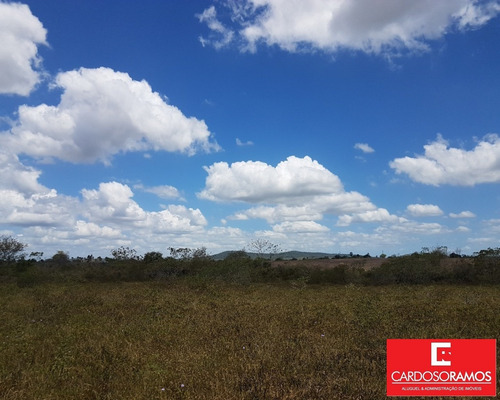 Imagem 5 de 6 de Terreno - Te00127 - 34722975