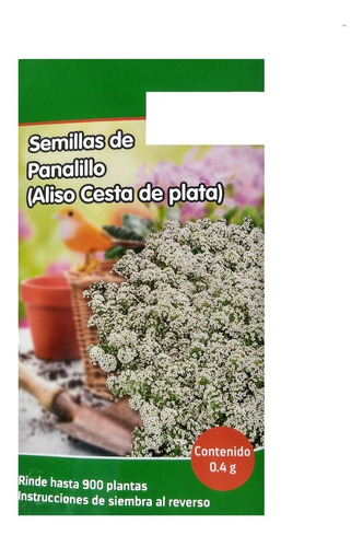 Semilla De Panalillo Aliso Cesta De Plata