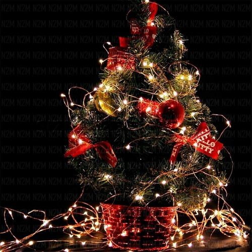 Imagen 6 de 10 de Alambre Luces Led 5 Metros Blanco Cable Hilo Tira Exterior Pilas Navidad