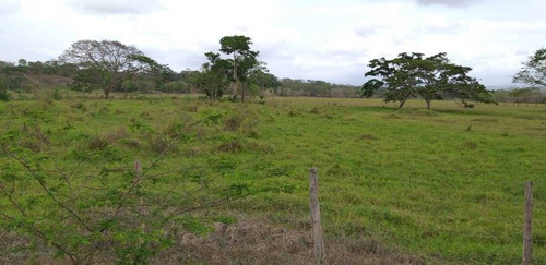 Imagen 10 de 17 de Finca En La Colonia En Yaracal Edo. Falcon