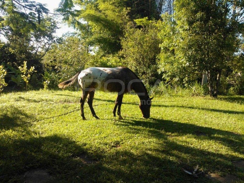 Venda De Rural / Chácara Na Cidade De Brotas 5011