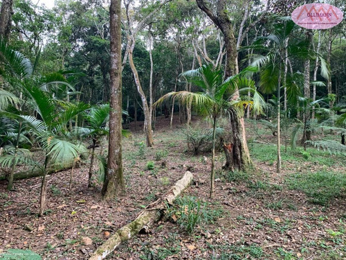 Imagem 2 de 15 de Chácara Para Venda Em Ribeirão Pires, Somma - 0785_2021_2-1159349