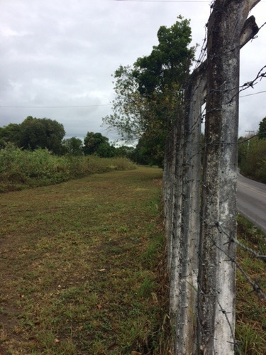 Imagem 5 de 7 de Melhor Área 11 Hectares Industrial, 241m De Beira, Pista Guabiraba, Instalação Empresas - Ch00014 - 67725323