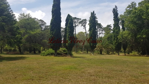 Venta De Chacra En Maldonado, Punta Ballena 5 Has - Ref: 19265