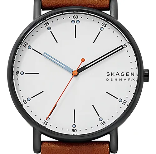 Reloj Para Hombre Skagen Signatur/marrón