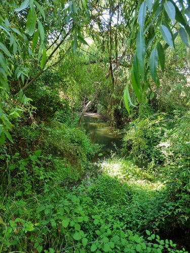 Sitio En Sector Santa Isabel Comuna San Clemente