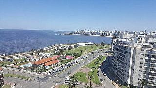 Imagen 3 de 19 de Puerto Del Buceo