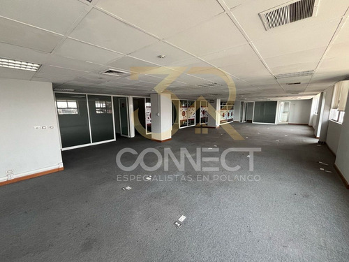 Oficina En Renta En Anzures 5c/2b/1e - Comedor - Cocineta - 245m2