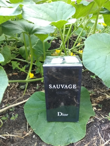 Perfume Frances Hombre Importado Sauvage Dior Original Unico