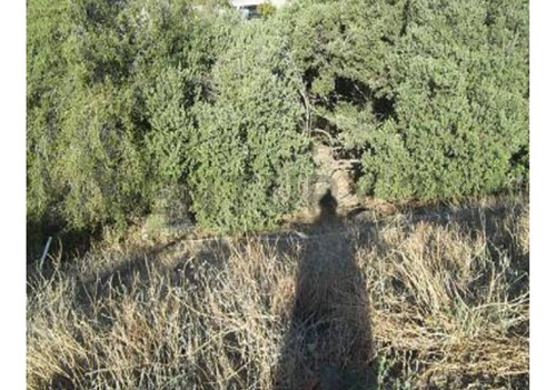 Venta Terreno Lo Barnechea
