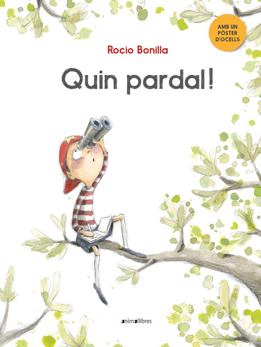 Quin Pardal  - Bonilla Raya Rocio