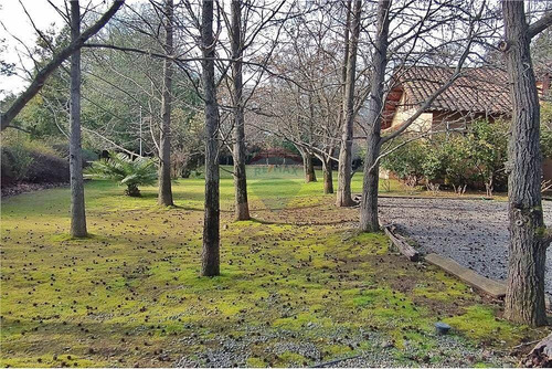 Se Vende Amplia Casa Av. Las Rastras.