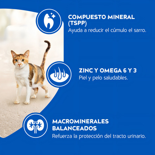 Cat Chow Delimix 24kg 21+3kg Saco Grande Relleno Gato Adulto