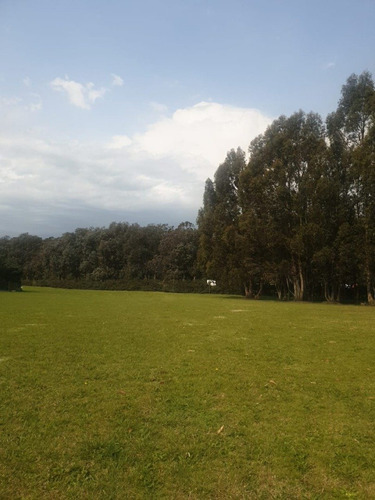 Imagen 5 de 9 de Arenas Del Sur. Lotes En Venta. Ubicacion De Privilegio