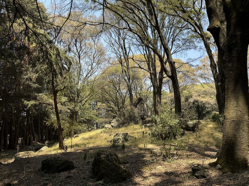 Vendo Rancho Terreno 7265m San Nicolás Tlazala Toluca Ocoyoacac Edomex