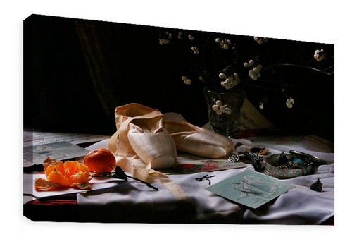 Cuadro Decorativo Canvas Moderno Zapatillas Ballet
