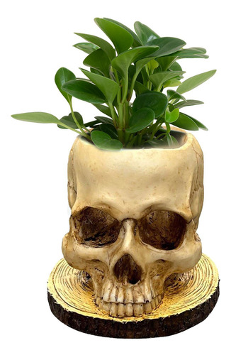 Maceta De Calavera Maceta De Halloween Jarrón De Calavera Re