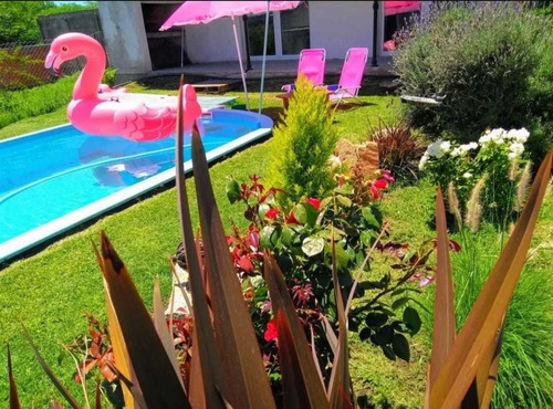 Imagen 11 de 14 de Alquilo Dto.tandil 4 Pers 2 Autos Parrilla Wifi Piscina Segu