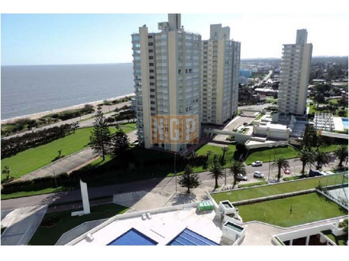 Sobre Mansa Apartamento - Ref: 15429