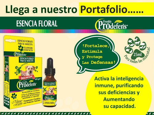 Esencias Florales Para Mascotas Equilibra Su Comportamiento