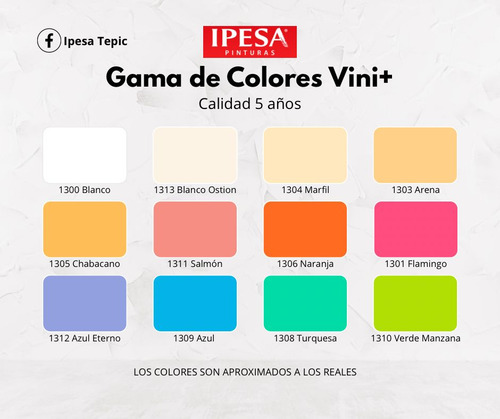 Cubeta 19 Litros Pintura Vini+ Exterior 5 Años Lavable Color Azul