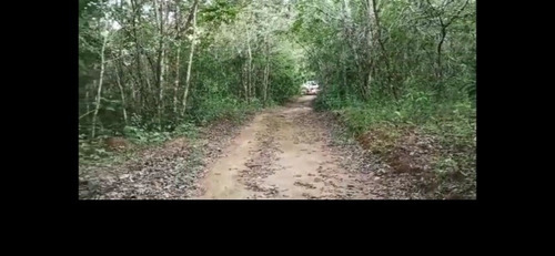 Imagem 5 de 6 de Terreno Escriturado Zona Rural De Pirenópolis