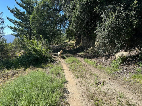 Parcelas En El Cerro El Roble, Olmué; Cerquita Del Cielo