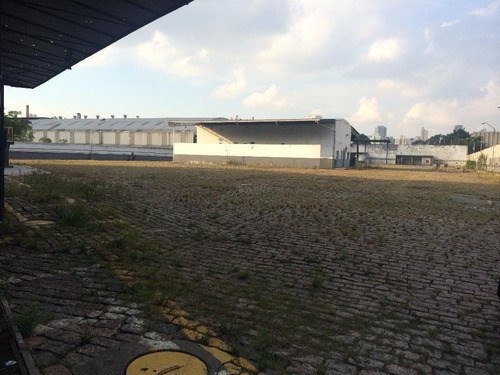 Imagem 7 de 10 de Galpão Para Aluguel, Cambuci - São Paulo/sp - 128