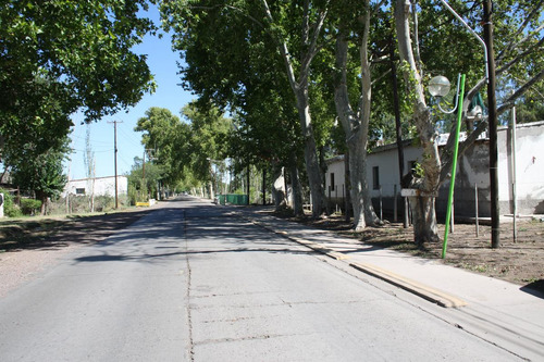 Bodega - Mendoza