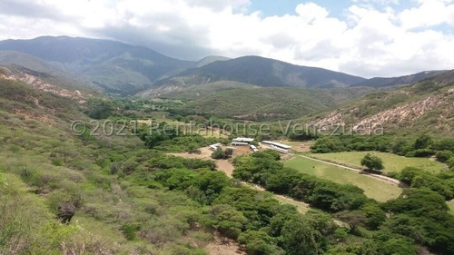 Imagen 12 de 30 de Terrenos En Venta En Moran 04245565759
