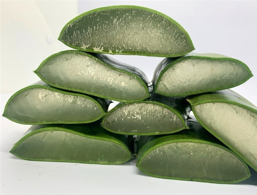 800 G Folha De Aloé Vera Barbadensis Miller
