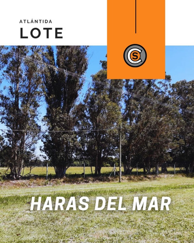 Lote Baldio - Haras Del Mar