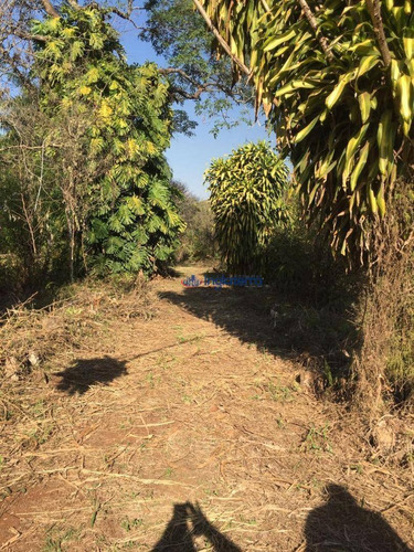 Imagem 6 de 6 de Terreno À Venda, 3000 M² Por R$ 325.000,00 - Indusville - Londrina/pr - Te0489