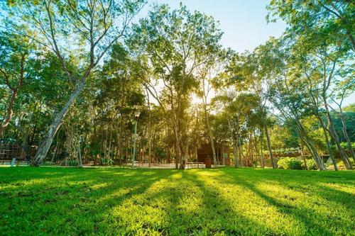 Venta De Terrenos En Senderos Poniente, Ciudad Mayakoba De 192 M2, Luxury