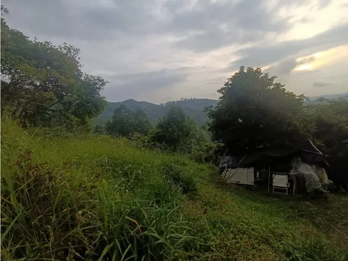 Se Vende Finca En Salento - Quindío