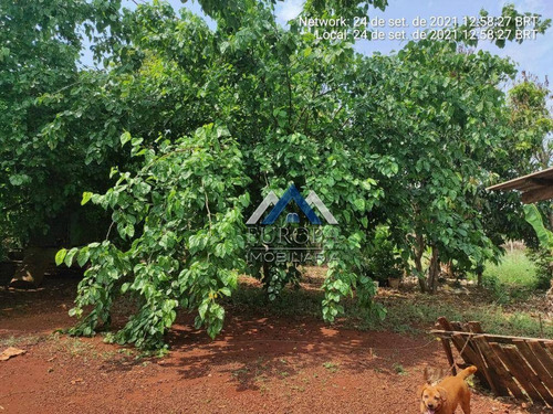 Imagem 30 de 30 de Chácara Com 2 Dormitórios À Venda, 2500 M² Por R$ 252.000,00 - Fazenda Nata - Londrina/pr - Ch0233